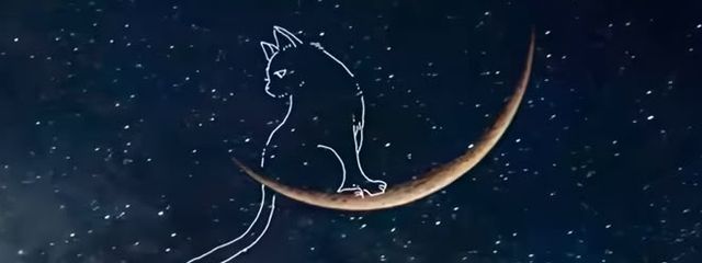 🎧‎‎𖤐𝕃𝔸𝕐‬‪‎‎‎‎𖤐‬🎧さんの壁紙画像