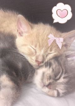 𝘑𝘕 𝘹 𝘔𝘏.