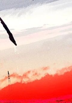 幻想に惑わされるな