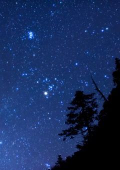 星の空に消えたアノ子██.