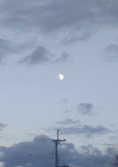 誰が…助けてくれるの？…