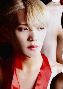 " メンバー内性処理係 "