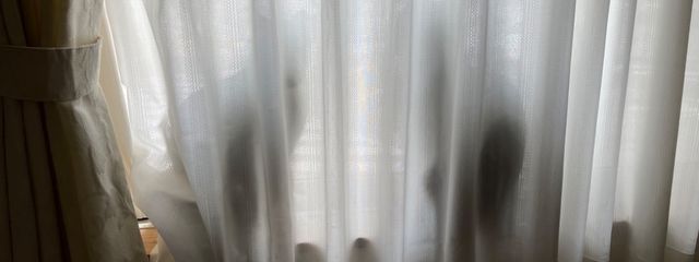 mallabyさんの壁紙画像