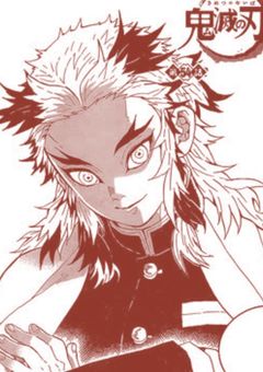 日柱様はお館様の妹で炎柱の嫁