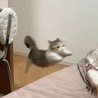 かんなさんのアイコン画像