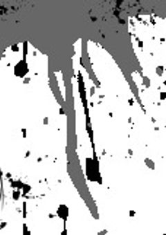 ギャンブラー、雄英護衛します。