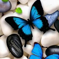 ロロさんのアイコン画像