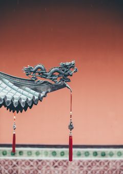 中国マフィアの一人娘、自立したはず