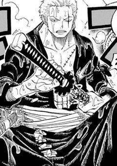 夢主麦わらの一味加入します！！