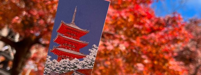 海琉さんの壁紙画像