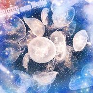 海琉さんのアイコン画像