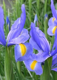 君達とボクで"さいご"の賭けを…