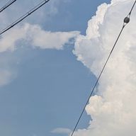 ラムネさんのアイコン画像