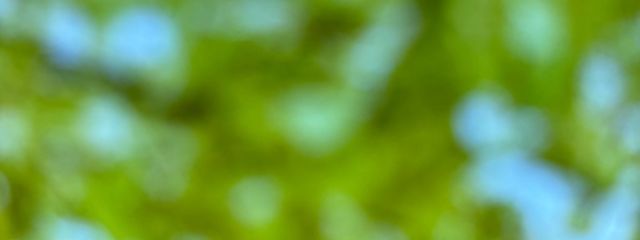 ユグドラシルるんさんの壁紙画像