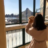 sayo⛄️さんのアイコン画像