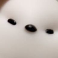 ももさんのアイコン画像