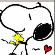 のんさんのアイコン画像