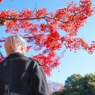 詩音さん推しさんのアイコン画像