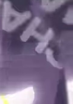 虐待を受けてた僕はマフィアの嫁に！？