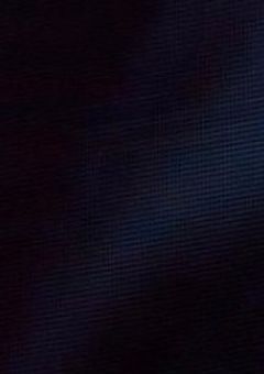 幼馴染がマフィアだった！？