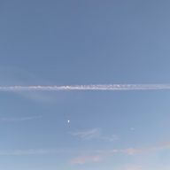 ゆめらさんのアイコン画像