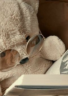 ￤活動報告&お知らせ