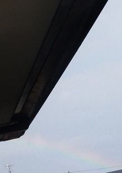 ポケカラで配信する時お知らせするとこ😘💕