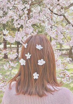 紅一点ものがたり