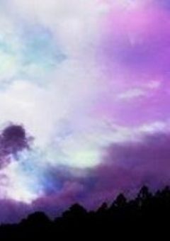 シャオロンの義理の姉はランク10の最強さん。