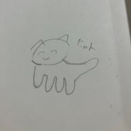 ぬこさんのアイコン画像