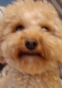 宣伝部屋　兼　設定部屋