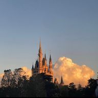 オリーブの丘さんのアイコン画像