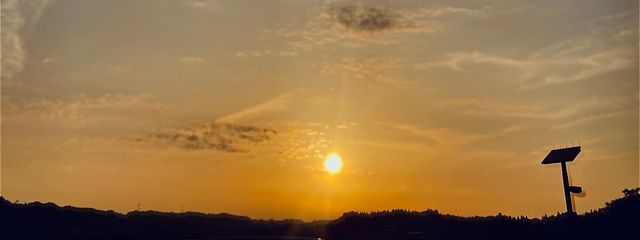 ひよこ🐥  🦈🎧さんの壁紙画像