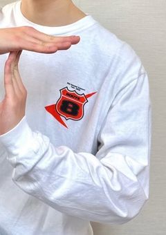 ICExのオレンジ色は皆んなから愛されてます｡