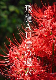 飛龍AU達の過去