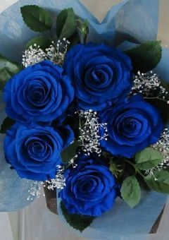 とーくるーむ🫧