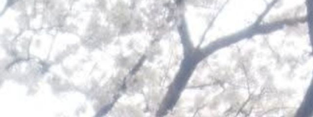 Riruさんの壁紙画像