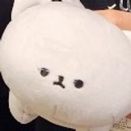 Riruさんのアイコン画像