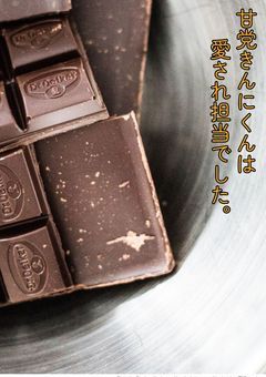 甘党きんにくんは愛され担当でした。