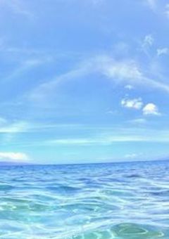 ハッピーエンドを探す旅　ワンピース編