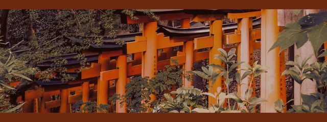 鴉さんの壁紙画像