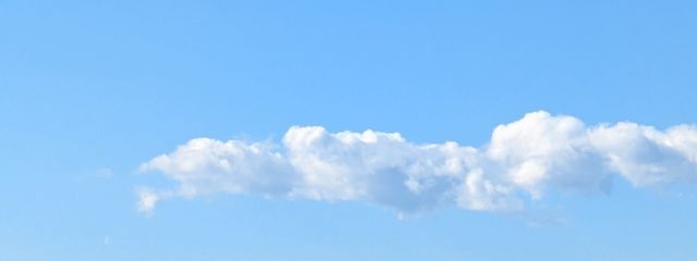 ミラン(外出中…)さんの壁紙画像
