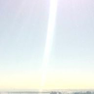 nijiyume　ソフィア・ローズマリーさんのアイコン画像