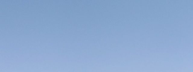 琴葉   kotoha スターライト所属！さんの壁紙画像