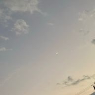 とッとさんのアイコン画像