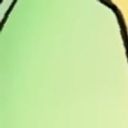 めろんぱーかー全員