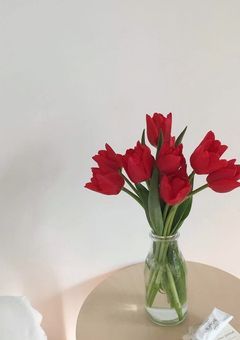 🌹中編小説  ~関ジュ~