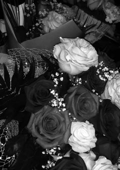 ｽｯﾄﾞｩﾝ 家族　短編集 ．