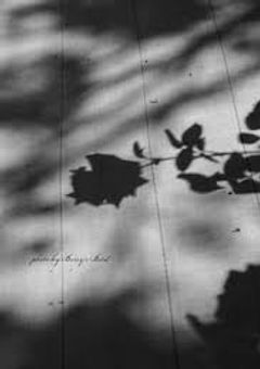 新しいヒョンは 、大嫌いなあの人でした 。