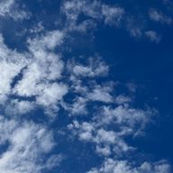 天音さんのアイコン画像